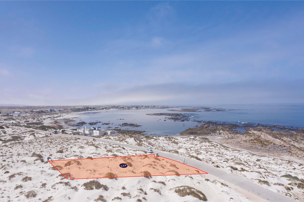 Wave-Watcher’s Wonder - Photo 3