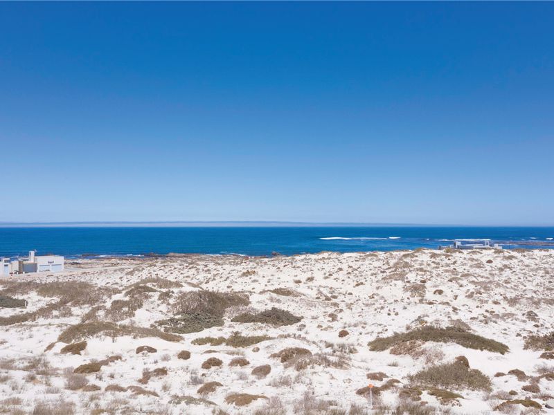 The Shrewd Buyer’s Choice - Photo 6