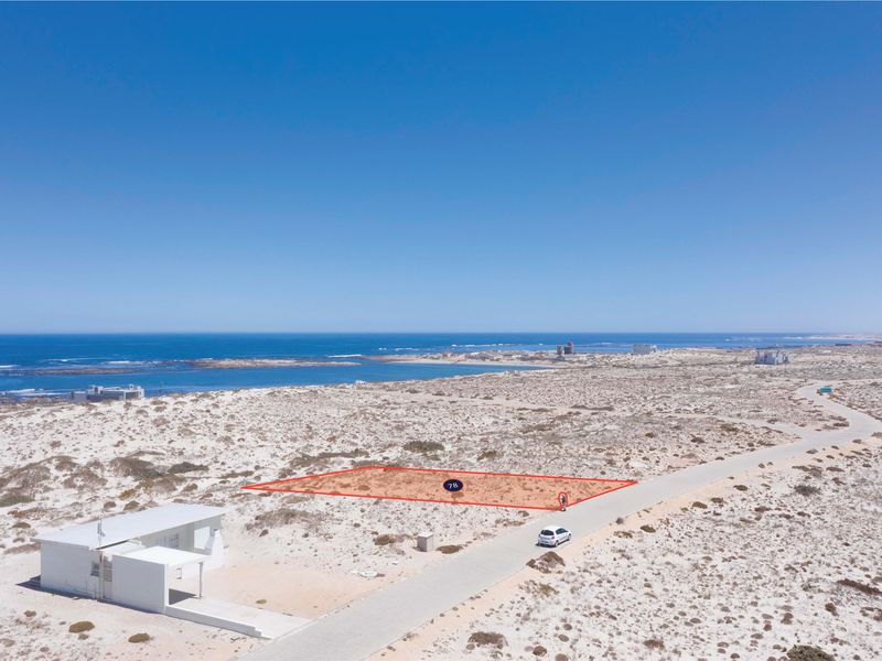 The Shrewd Buyer’s Choice - Photo 4