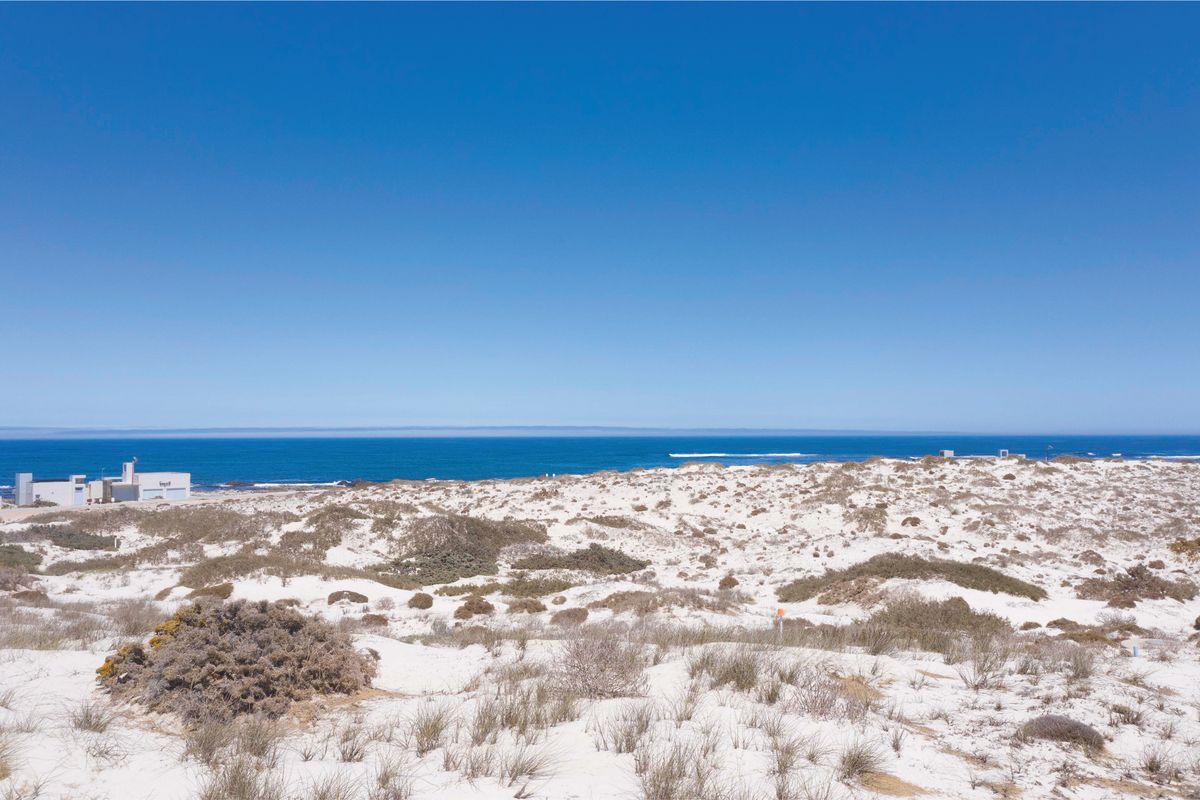 The Shrewd Buyer’s Choice - Photo 5