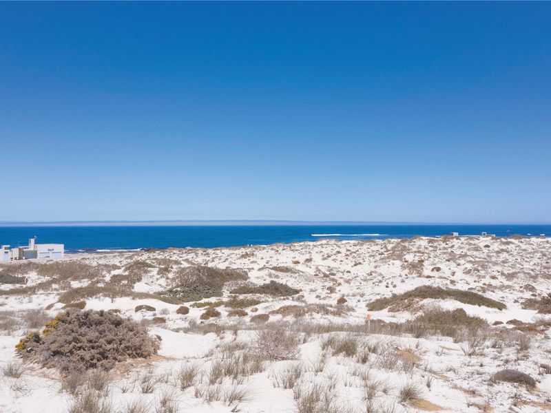 The Shrewd Buyer’s Choice - Photo 5