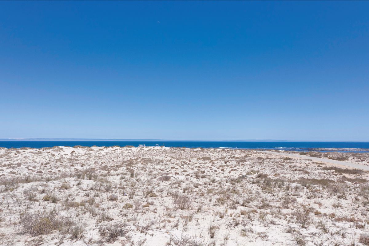 West Coast Lover’s Ultimate Canvas - Photo 5