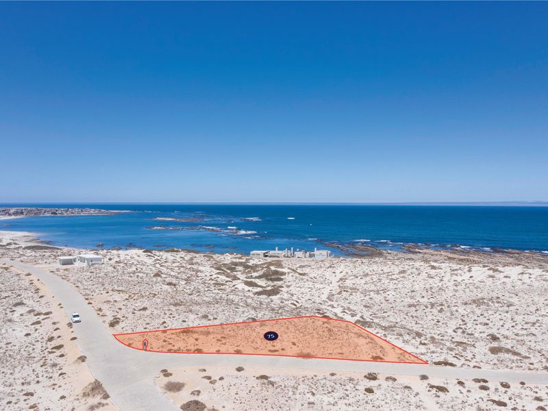 West Coast Lover’s Ultimate Canvas - Photo 3