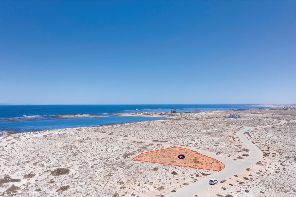 West Coast Lover’s Ultimate Canvas - Photo 4