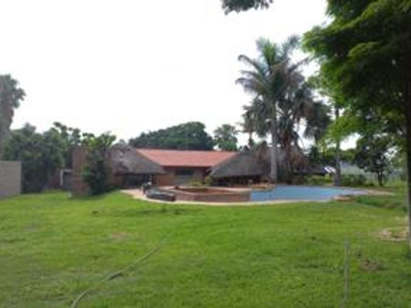 21500 ha  Income-Generating Farm t let in Lusthof – with right of water from Apies River - Photo 3