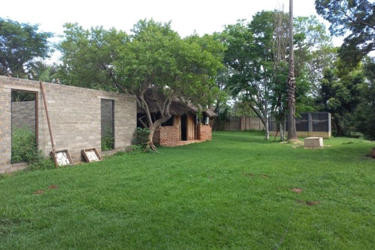 21500 ha  Income-Generating Farm t let in Lusthof – with right of water from Apies River - Photo 2