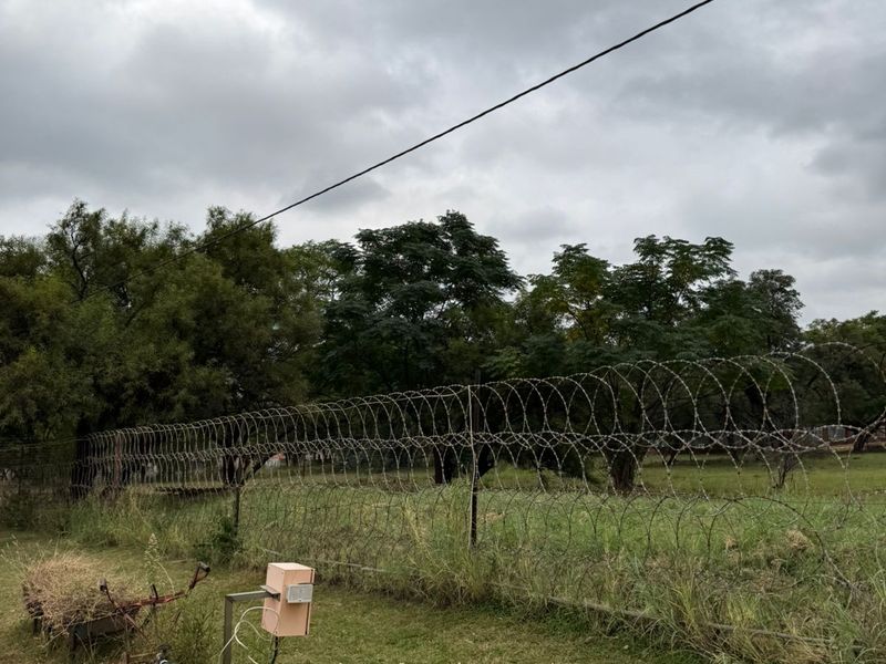 Escape to Your Private Mountain Paradise: 6.4Ha Hartbeespoort Farm with Income Goldmine! - Photo 10