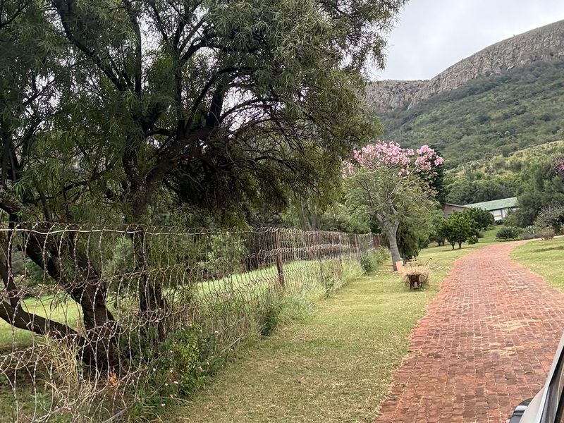 Escape to Your Private Mountain Paradise: 6.4Ha Hartbeespoort Farm with Income Goldmine! - Photo 7