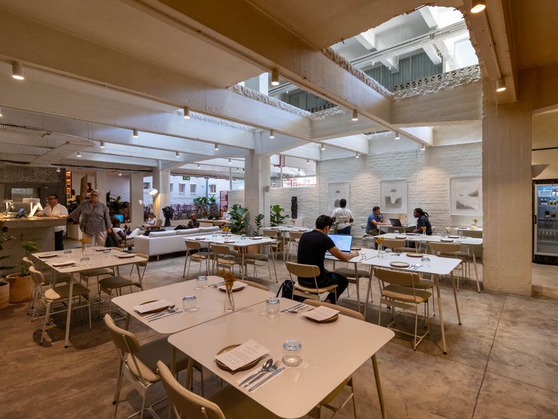 BlackBrick Gardens | High-Yield Furnished Investment | Gardens, Cape Town - Photo 8