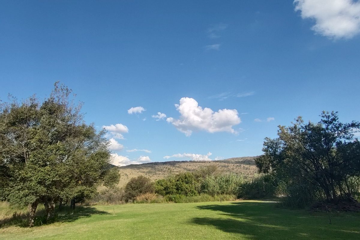 Exceptional Farm Living with Income & Expansion Potential - Photo 5