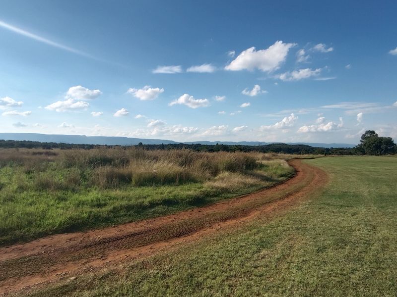 Exceptional Farm Living with Income & Expansion Potential - Photo 10