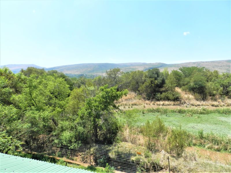 Exceptional Farm Living with Income & Expansion Potential - Photo 3