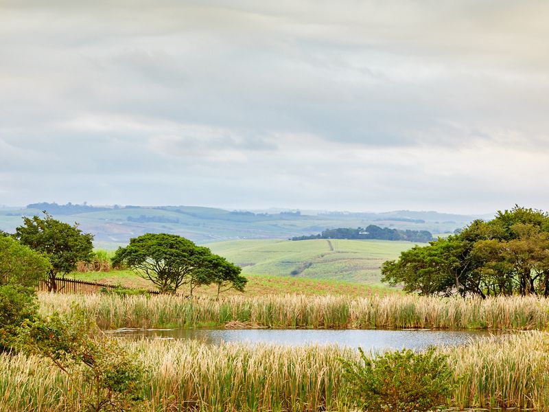 Apartment Rental Monthly In Ballito - Photo 10