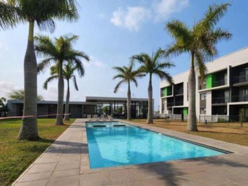 A well-maintained communal swimming pool area surrounded by palm trees and modern apartment building facades.