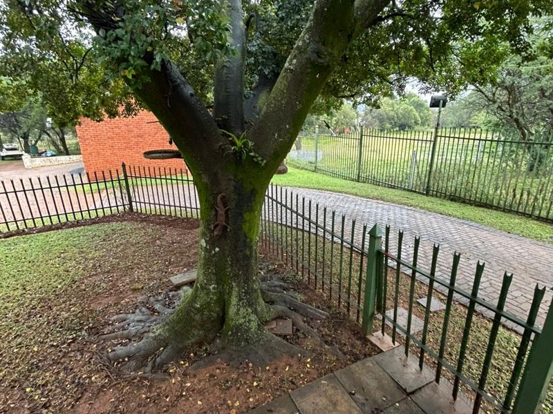 Charming 1-Bed Farm Flat in Hartbeespoort Rural – Countryside Bliss! - Photo 8