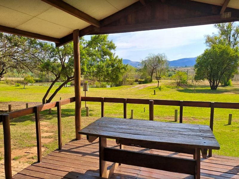 Unique opportunity to own a scenic Lodge - Photo 8