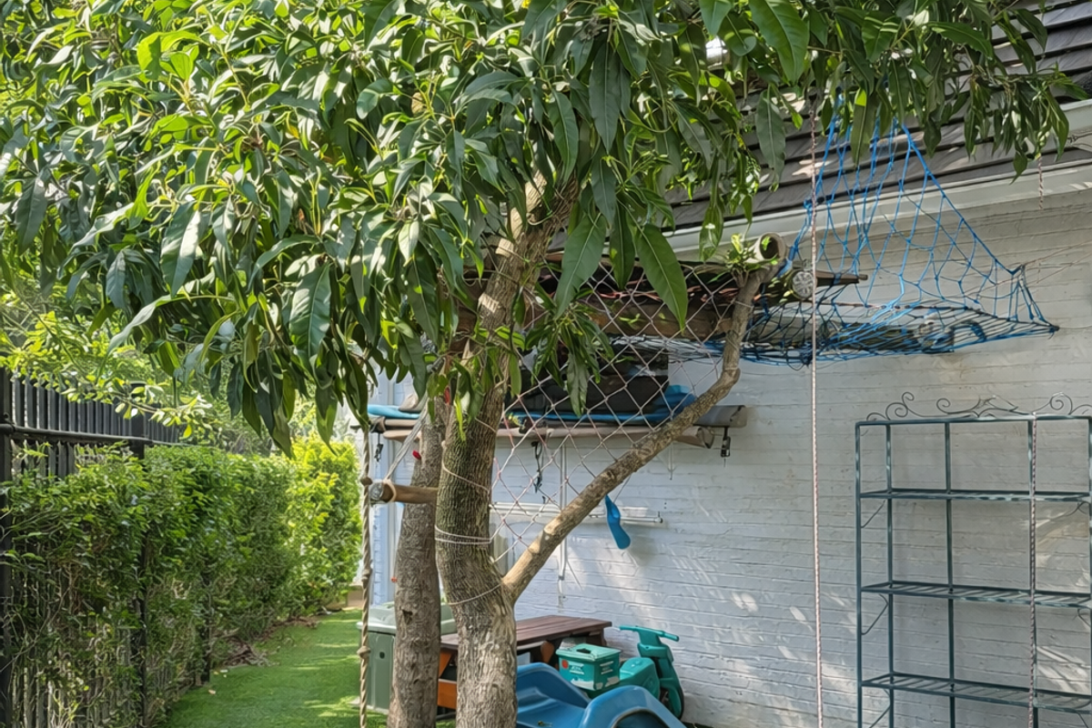 Incredible Gated Estate Family home plus COTTAGE - Photo 5