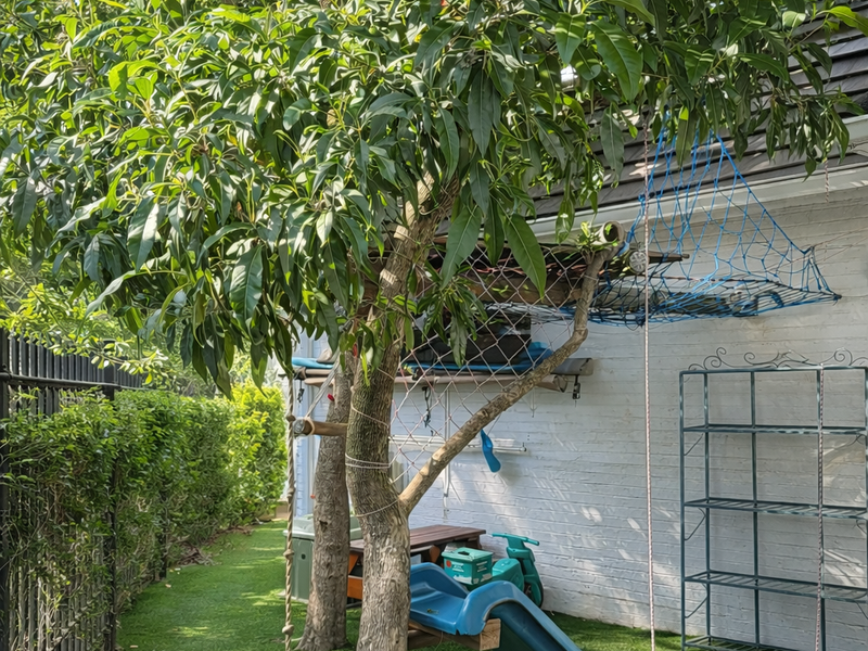 Incredible Family home plus COTTAGE - Photo 3