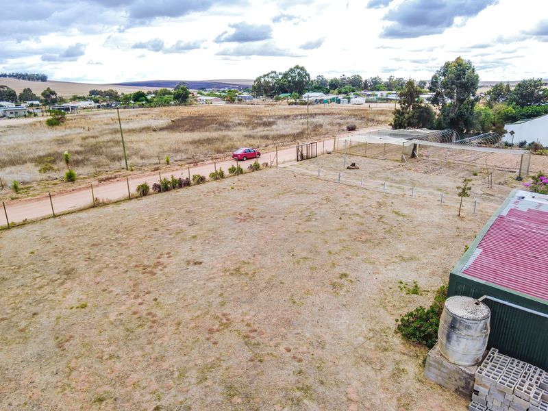 Prime Agricultural Erf with Borehole & Irrigation – A Rare Opportunity - Photo 10