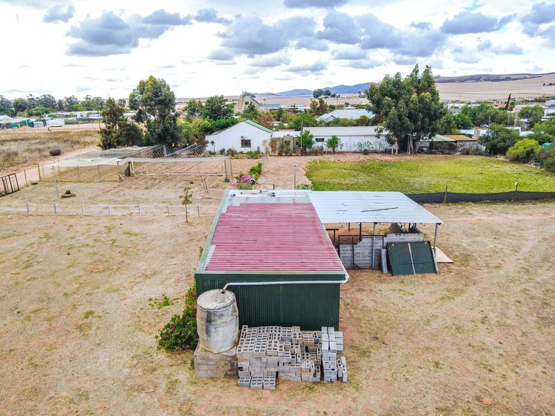 Prime Agricultural Erf with Borehole & Irrigation – A Rare Opportunity - Photo 9