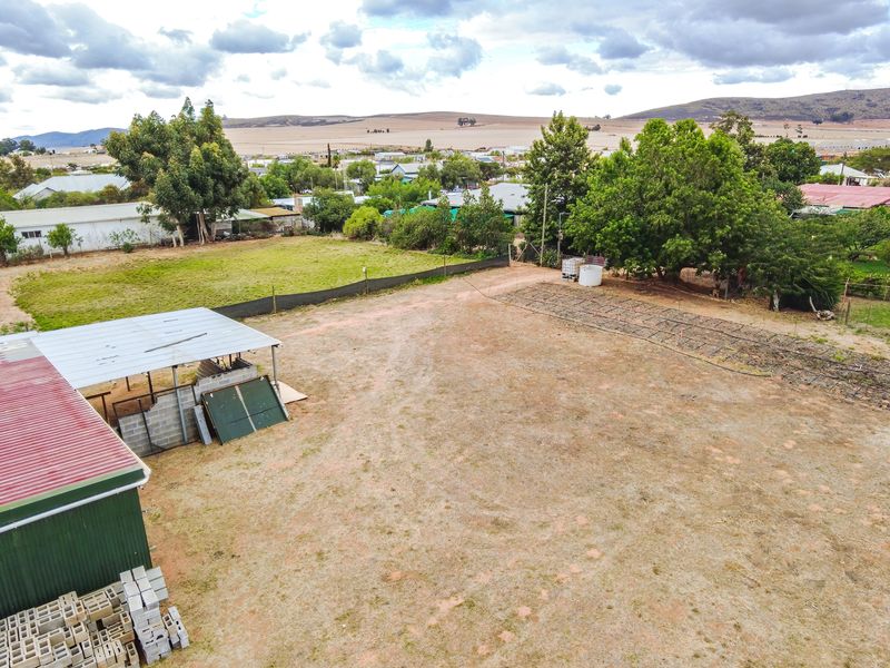 Prime Agricultural Erf with Borehole & Irrigation – A Rare Opportunity - Photo 8