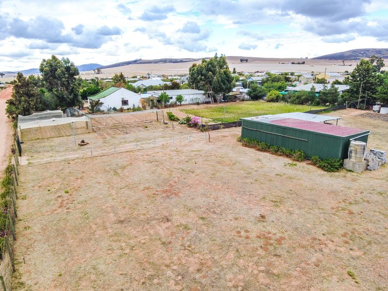 Prime Agricultural Erf with Borehole & Irrigation – A Rare Opportunity - Photo 6