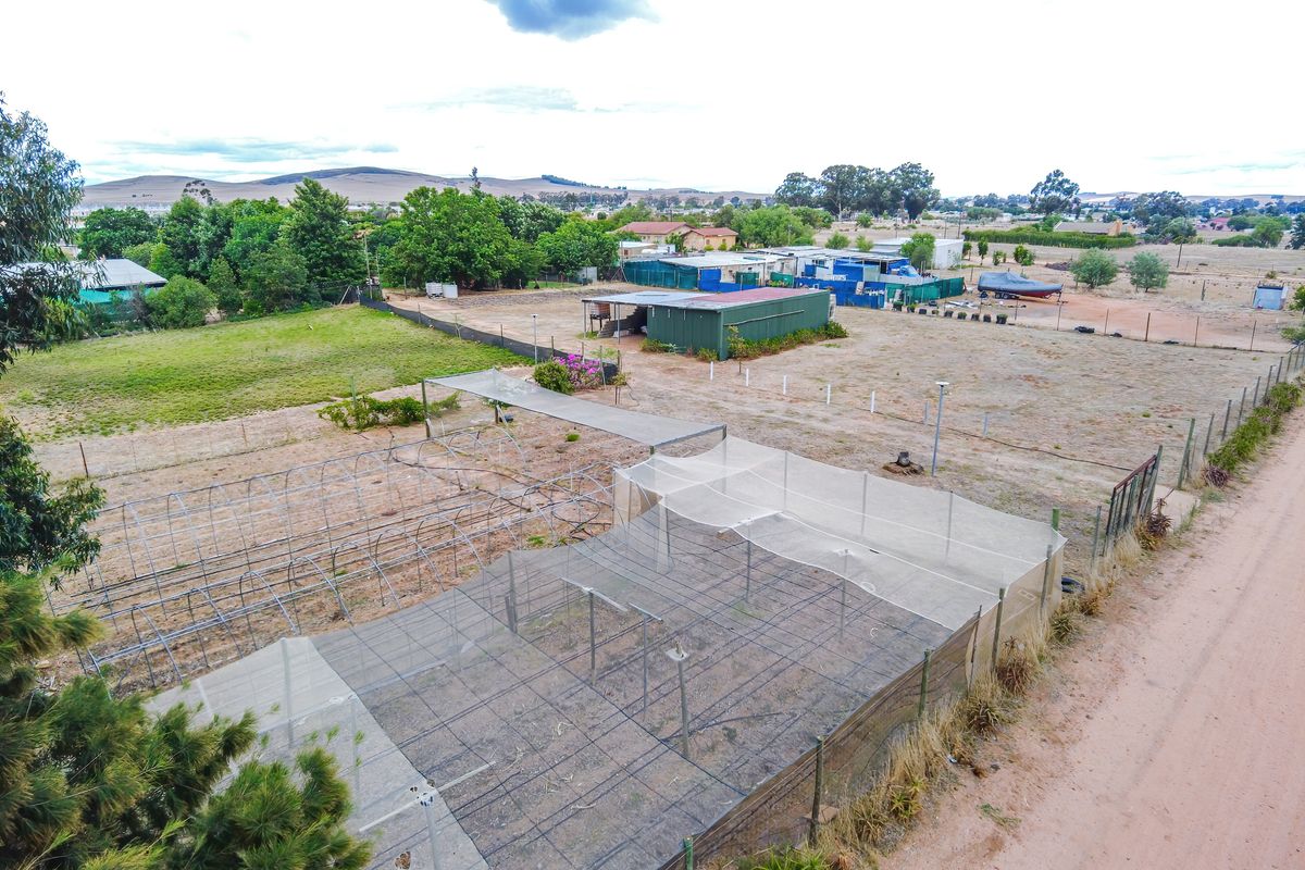 Prime Agricultural Erf with Borehole & Irrigation – A Rare Opportunity - Photo 4