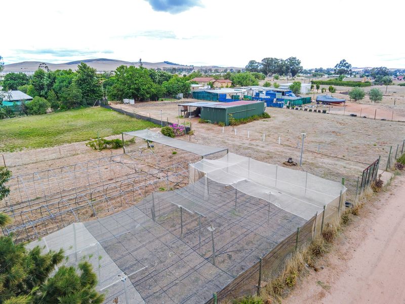 Prime Agricultural Erf with Borehole & Irrigation – A Rare Opportunity - Photo 4
