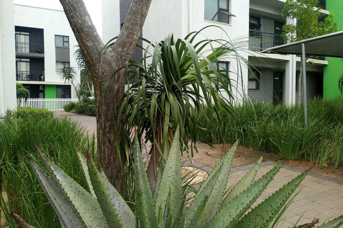 Pet Friendly Apartment - Photo 4