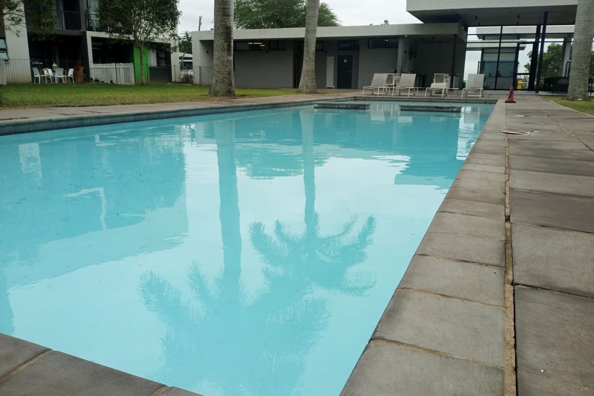 Pet Friendly Apartment - Photo 3