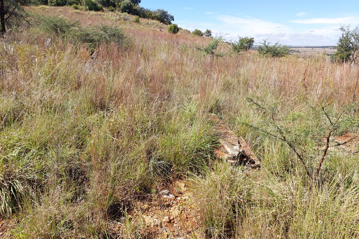 Vacant Stand for Sale in Vaaloewer - Scenic River Town Living - Photo 5