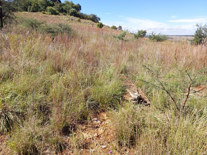 Vacant Stand for Sale in Vaaloewer - Scenic River Town Living - Photo 5