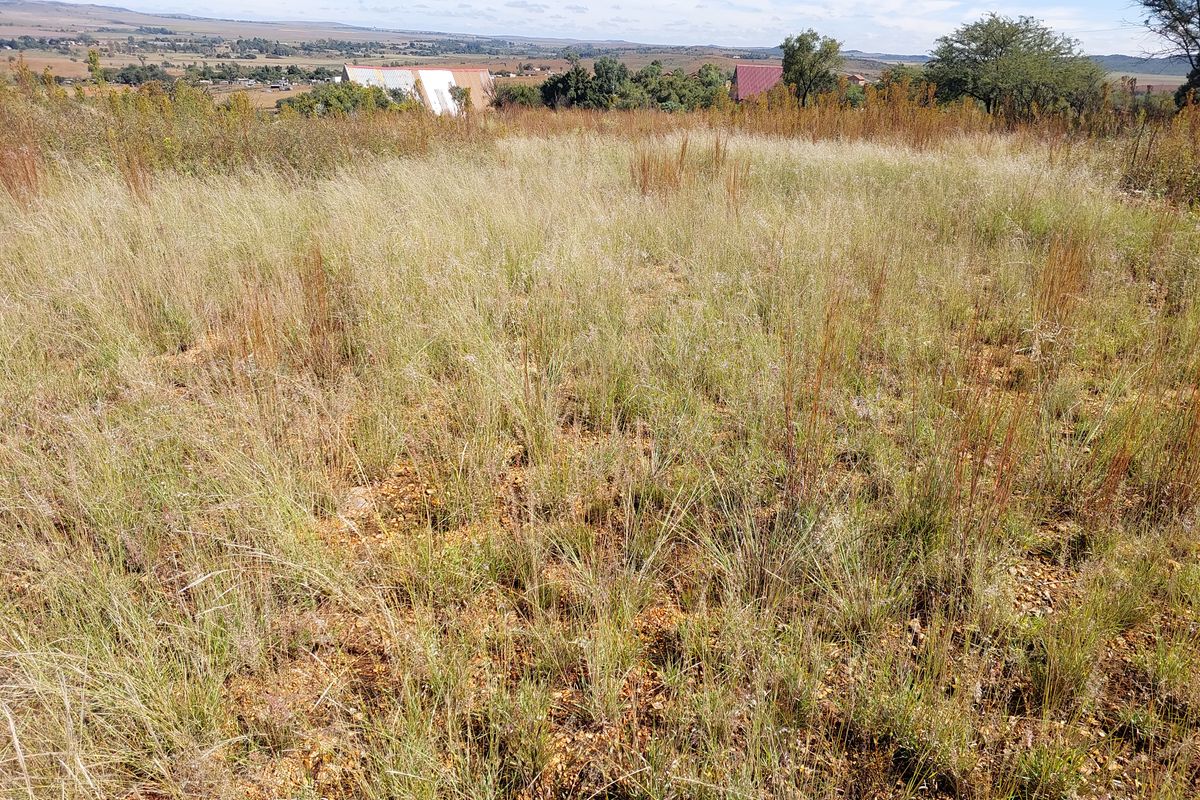 Vacant Stand for Sale in Vaaloewer - Scenic River Town Living - Photo 3