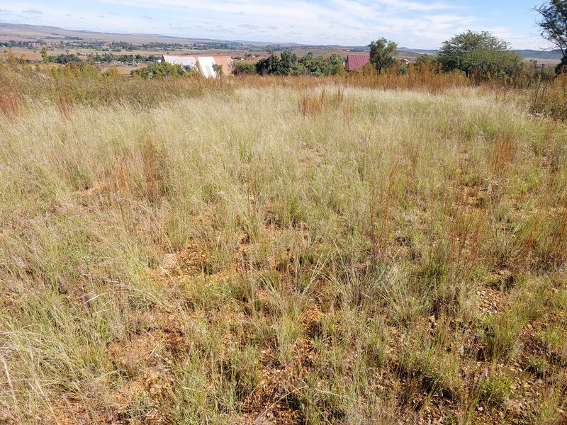 Vacant Stand for Sale in Vaaloewer - Scenic River Town Living - Photo 3