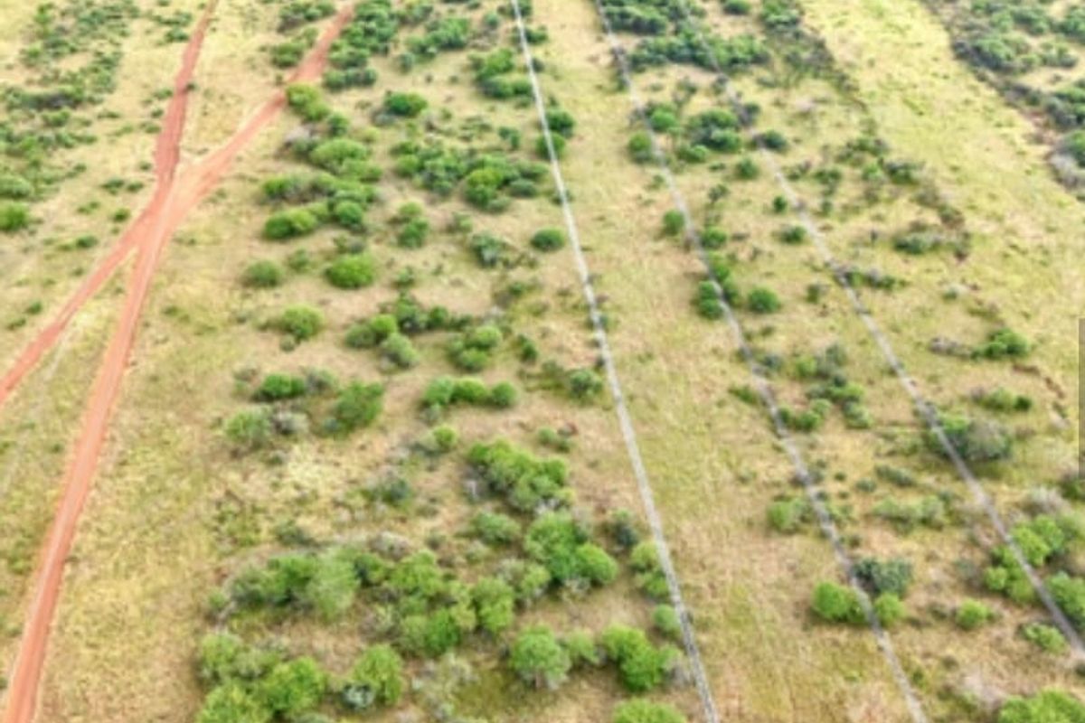 Prime 10-Hectare Investment Farm Near Northam – Ideal for Livestock & Development - Photo 3