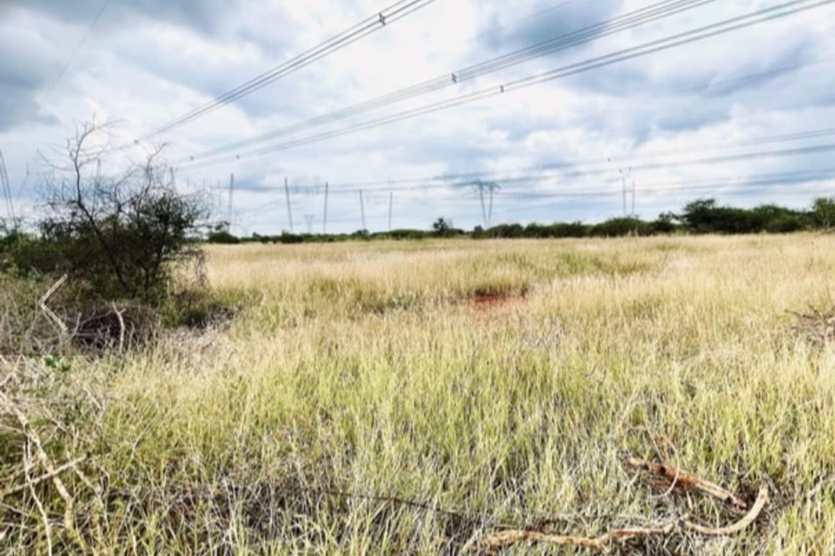 Prime 20-Hectare Investment Farm Near Northam – Ideal for Livestock & Development - Photo 2