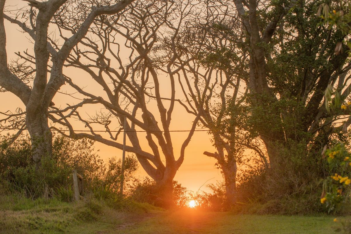 LALELA COASTAL ESTATE - Photo 2