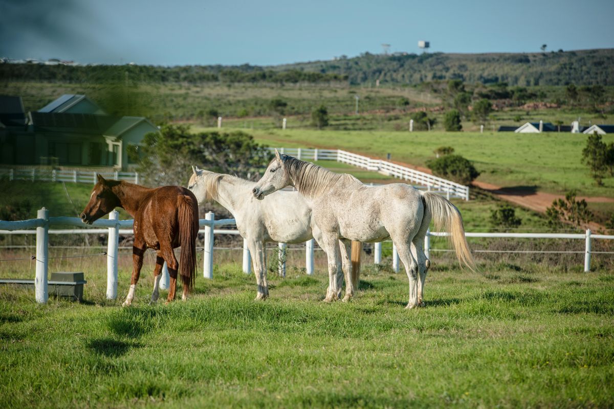 Beautiful stand with Sea views of Jeffries Bay - Photo 3