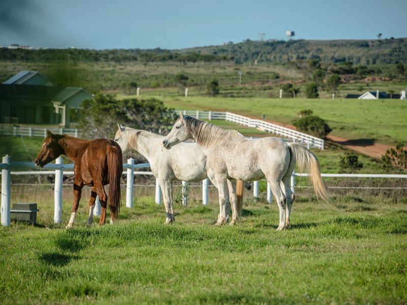Beautiful stand with Sea views of Jeffries Bay - Photo 3