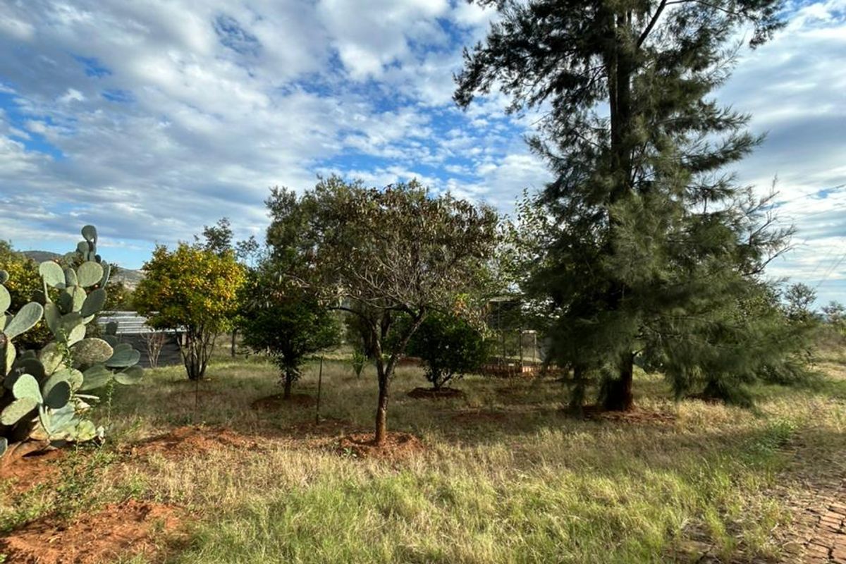 Income-Generating Home + 2 Rentals on 1 Property - Photo 3