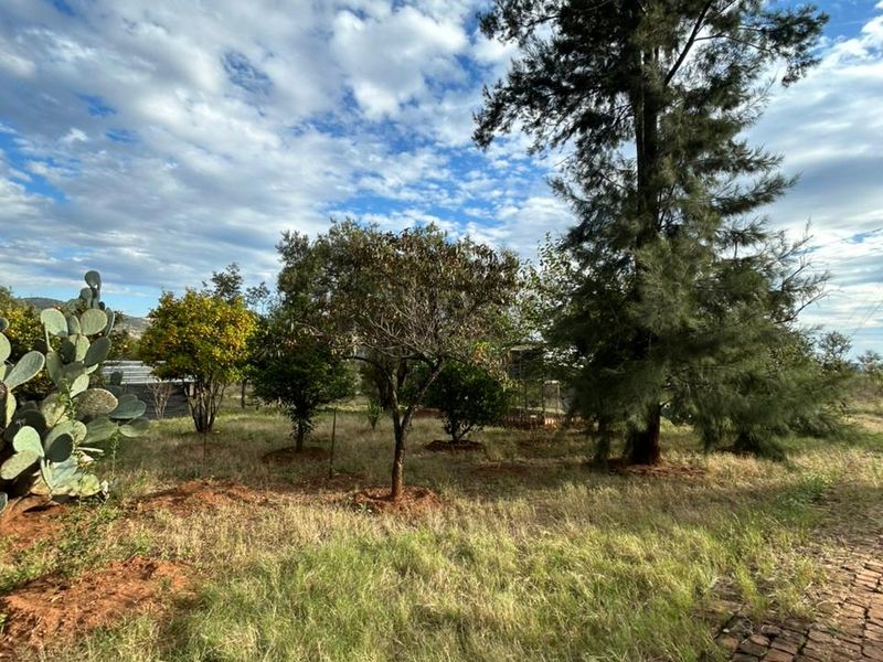 Income-Generating Home + 2 Rentals on 1 Property - Photo 3