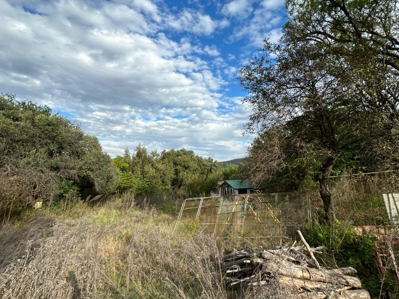 Income-Generating Home + 2 Rentals on 1 Property - Photo 6
