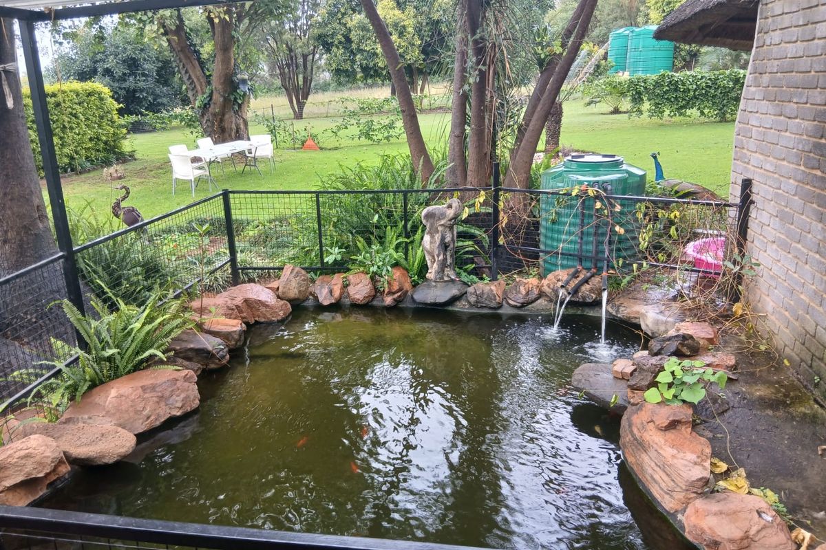 4 Bedroom Small Holding  For Sale In Buffelshoek - Mooinooi. - Photo 5