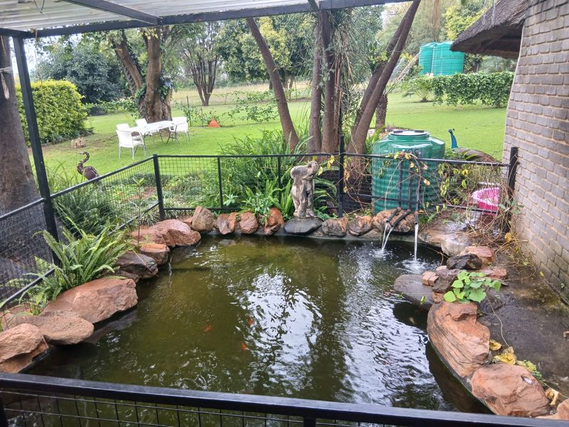 4 Bedroom Small Holding  For Sale In Buffelshoek - Mooinooi. - Photo 5