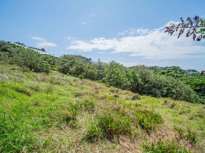 Build Your Dream Home with Scenic Views in Simbithi Eco Estate - Photo 9