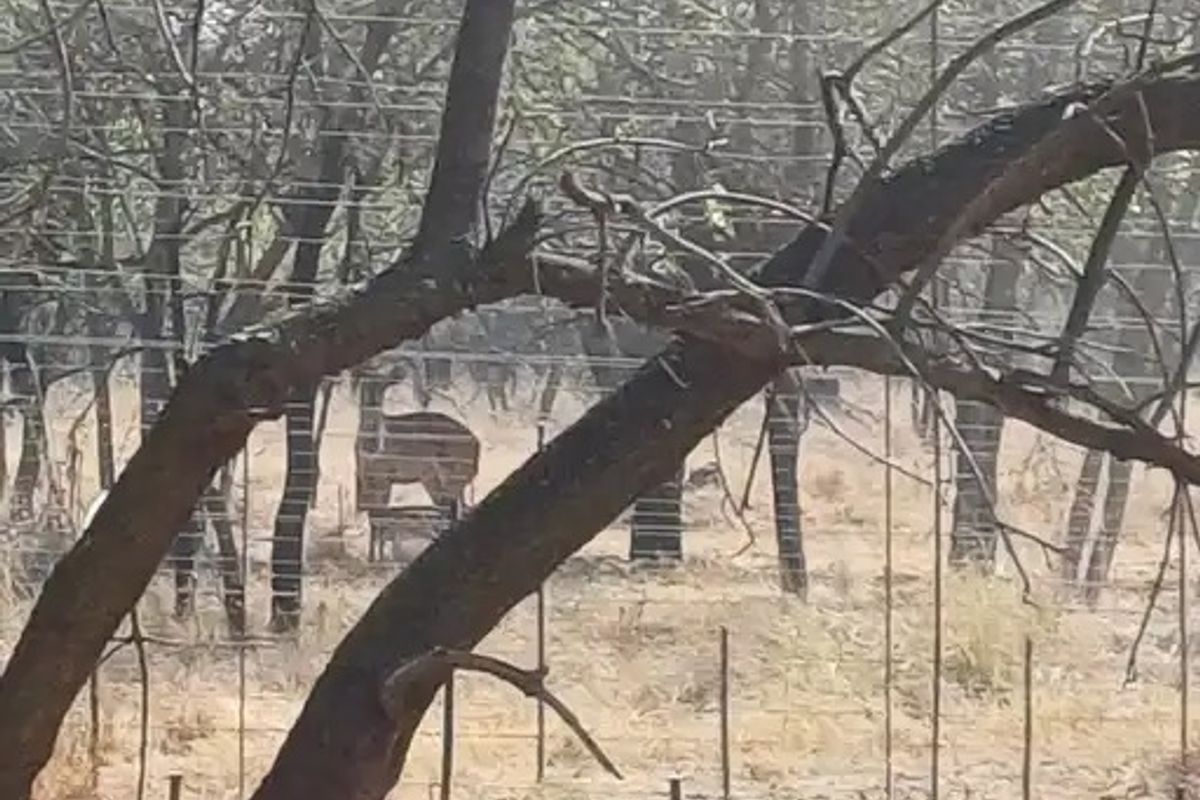 Small Holding For Sale In Buffelshoek - Mooinooi. - Photo 5