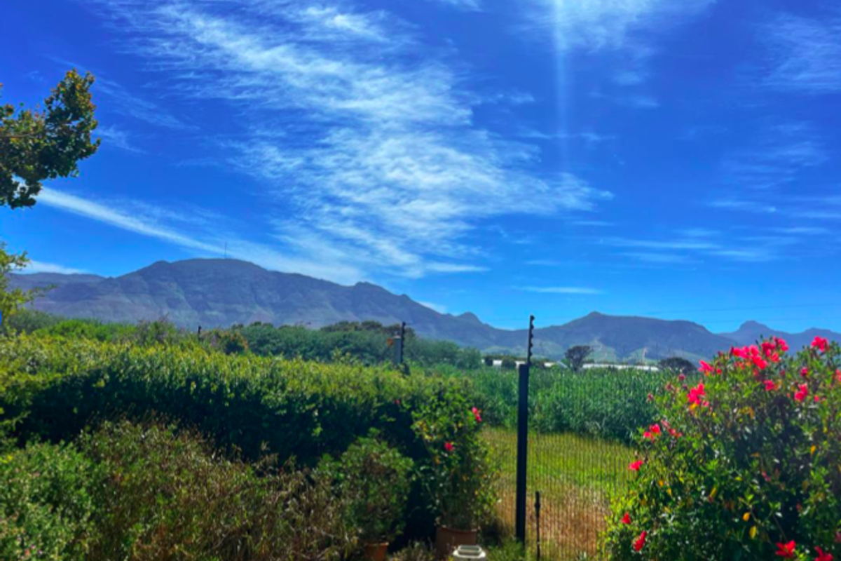 Newly Renovated Spacious 2-Bedroom Ground Floor Apartment in Brittany Villas, Tokai - Photo 5
