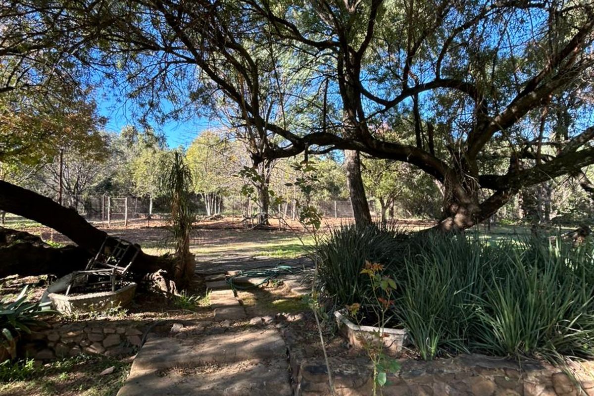 Prime 42 Ha Hartbeespoort Rural Farm with 3 Income-Generating Homes + Extras - Photo 3