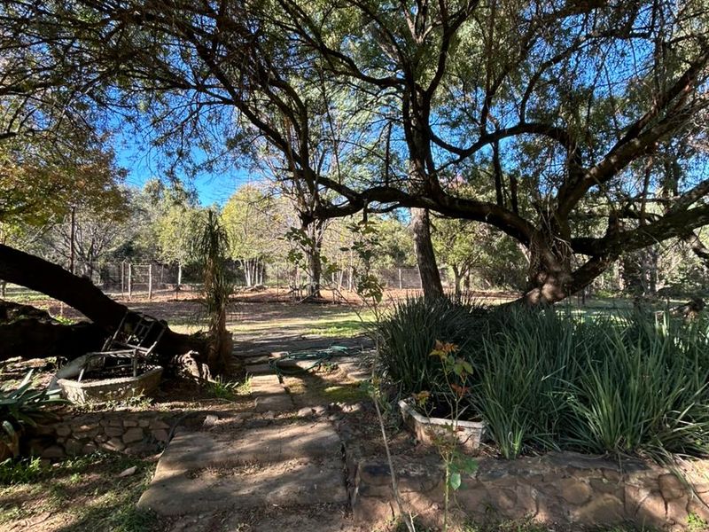 Prime 42 Ha Hartbeespoort Rural Farm with 3 Income-Generating Homes + Extras - Photo 3