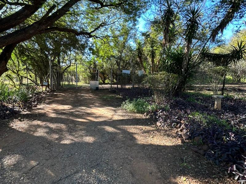 Prime 42 Ha Hartbeespoort Rural Farm with 3 Income-Generating Homes + Extras - Photo 9